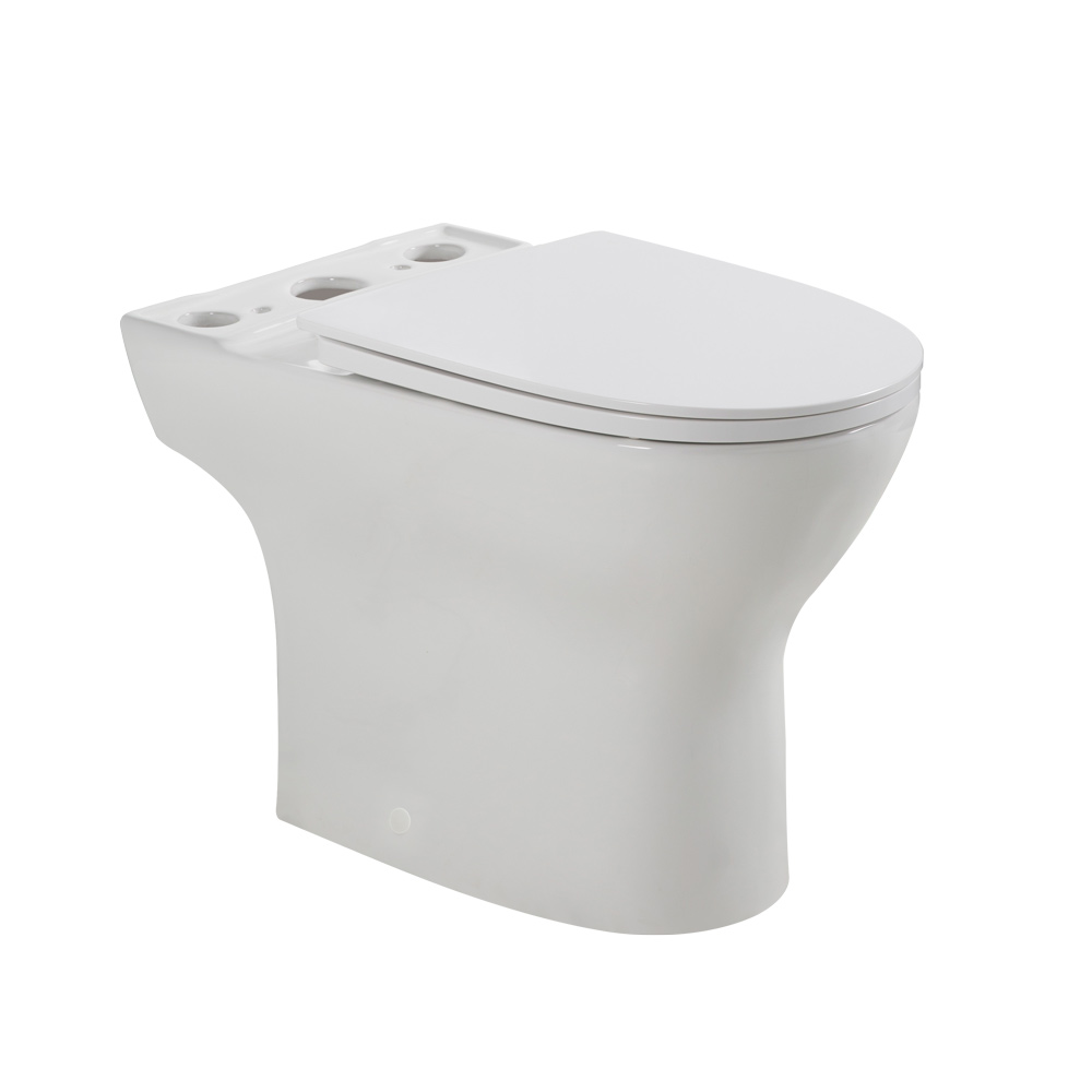 Чаша унитаза BelBagno Lounge, напольный, BB045CPR/SC...