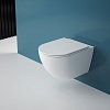 Унитаз Esbano Fortex-53T, подвесной, ESUPFORT53TW