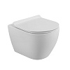 Унитаз с сиденьем Cezares Stylus-Tor, подвесной, CZR-6601-TH-TOR/CZR-076-SC