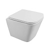 Чаша унитаза BelBagno Due с сиденьем, подвесной, BB3103CHR/SC