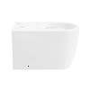Чаша унитаза BelBagno Marino, напольный, BB105CPR