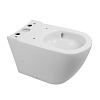 Чаша унитаза BelBagno Sfera-R, напольный, BB2141CP-TOR