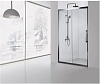 Душевая дверь Aquanet Delta, 150 см, NPE6121