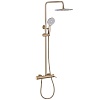 Душевая система Abber Emotion, золото матовое, AF8816GL