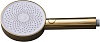 Душевая лейка Allen Brau Priority, золото, 5.31B20-GB