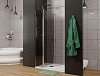 Душевая дверь Allen Brau Priority, 120 см, 3.31007.00G