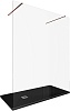 Душевая перегородка Allen Brau Infinity, 160 см, 3.21059.60