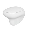 Унитаз безободковый  Ambassador Diamond, подвесной, 123T20101R