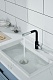Кухонный смеситель Paulmark KASSEL Ka214311-401, антрацит 401 - изображение 5