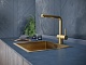 Смеситель для кухни Paulmark Dosse поворотный, Do214418-401 - изображение 1