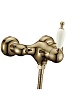 Смеситель для душа Boheme Medici, бронза, 304