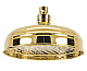 Тропический душ Remer Rubinetterie 359B20DO, золото глянцевое - изображение 1
