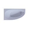 Ванна Aquatek Eco-Friendly Дива, 170х90, DIV170-0000002