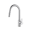 Смеситель для кухни Aquatek Европа поворотный, AQ1384CR