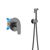 Смеситель с гигиеническим душем Aquatek Бетта, оружейная сталь, AQ1119BGM