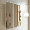 Шкаф с зеркалом Alavann Paris, 70 см, ALV0285001