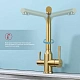 Кухонный смеситель с подключением фильтра Raglo R81 R81.61.03, сатин золотой - изображение 3