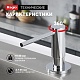 Дозатор для кухни Raglo хром R720.02 - изображение 5