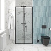 Душевая дверь Ceruttispa Bella, 90 см, D101B