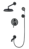 Встраиваемая душевая система Wonzon &amp; Woghand STEAM, брашированная, темный графит, WW-88939008-BGM