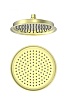 Верхний душ Wonzon &amp; Woghand, брашированное золото, WW-88DP05-BG