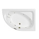 Ванна WHITECROSS AQUARELLA 170x110 0109.170110.100.SMART.BR, бронза - изображение 1