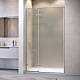 Душевая дверь RGW SV-004Gr 353200412-210 120 см, стекло матовое-сатинат - изображение 1