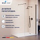 Душевая перегородка RGW WA-210B, 100 см, стекло прозрачное, 351021010-14 - изображение 1