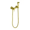 Смеситель с гигиеническим душем Frap H75, золотой сатин, F7503-3