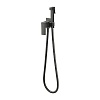 Смеситель с гигиеническим душем Frap, оружейная сталь, F7506-9