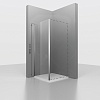 Душевая перегородка RGW Z-050-1