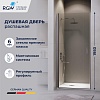 Душевая дверь RGW LE-003Gr