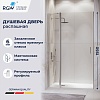 Душевая дверь RGW LE-004