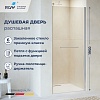 Душевая дверь RGW PA-103