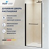 Душевая дверь RGW PA-103B