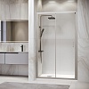 Душевая дверь RGW PA-14