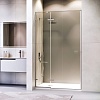 Душевая дверь RGW SV-004Gr