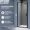 Душевая дверь в нишу RGW SV-05B - черная, стекло