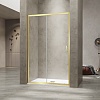 Душевая дверь-купе в нишу PA-114Gb