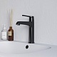 Смеситель для раковины RGW SP-301B, черный, 511405301-04 - изображение 1