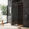 Душевая дверь в нишу AM.PM Gem, 110, W90G-110-1-195BBr