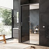 Душевая дверь в нишу AM.PM Gem, 110, W90G-110-1-195BMir
