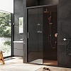 Душевая дверь в нишу AM.PM Gem, 120, W90G-120-1-195BBr