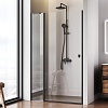 Душевая дверь в нишу AM.PM Sunny, 120 см, W87G-120-1P-BT