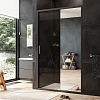 Душевая дверь в нишу AM.PM Gem, 120, W90G-120-1-195BMir