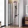 Душевая дверь в нишу AM.PM Sunny, 100, W87G-100-1P-BT