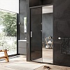 Душевая дверь в нишу AM.PM Gem, 100, W90G-100-1-195BMir