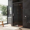 Душевая дверь в нишу AM.PM Gem, 100, W90G-100-1-195BBr
