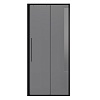 Душевая дверь в нишу Niagara Nova, 110х195, NG-85-11TB