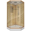 Душевая кабина Niagara Luxe, 100x100, 7702DG